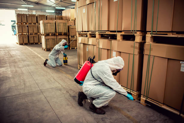 Best Ant Control Services  in Anacortes, WA