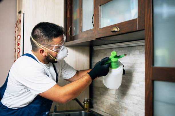 Best Local Pest Control Services  in Anacortes, WA