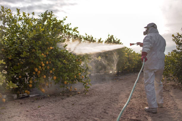 Best Residential Pest Control  in Anacortes, WA