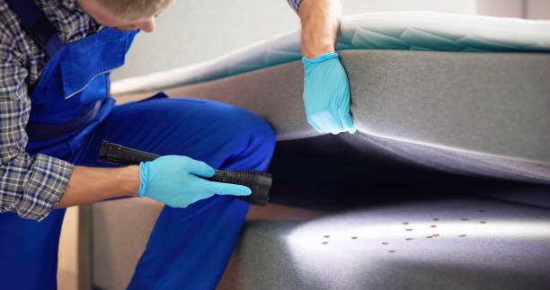 Best Best Pest Control Companies  in Anacortes, WA