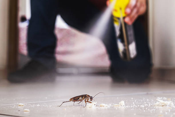 Best Pest Prevention Services  in Anacortes, WA