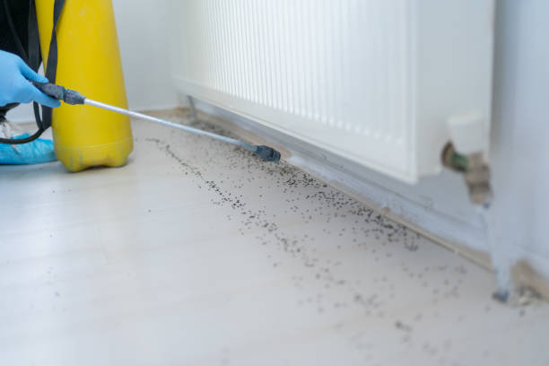 Best Pest Control Near Me  in Anacortes, WA