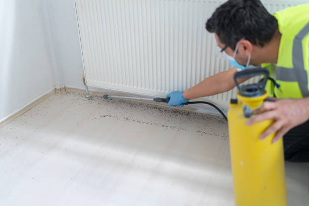 Pest Control Cost in Anacortes, WA