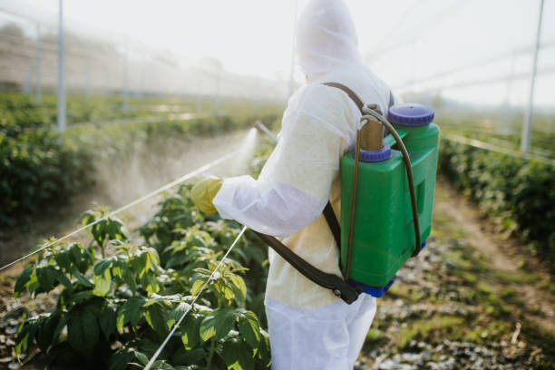 Best Local Pest Control Services  in Anacortes, WA